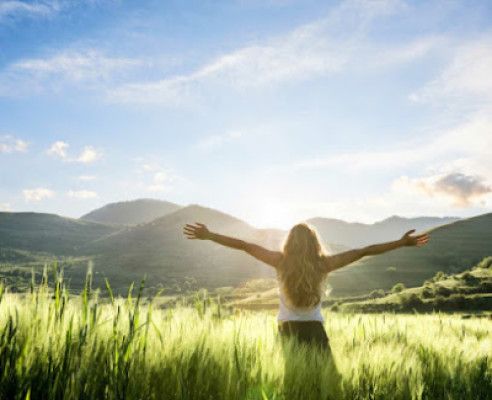 Evergreen Massage listing photo