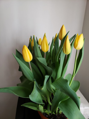 New Relaxation listing photo