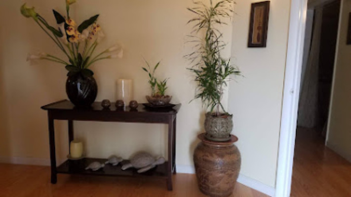 Boca Haven Spa listing photo