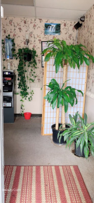 Jing's Massage listing photo