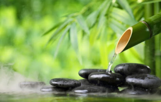 Coco Spa listing photo