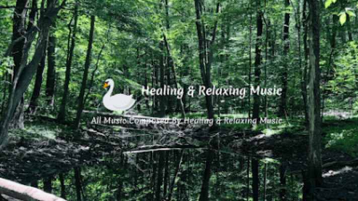 Zen Holistic Healing listing photo