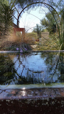 Chillax Arizona listing photo