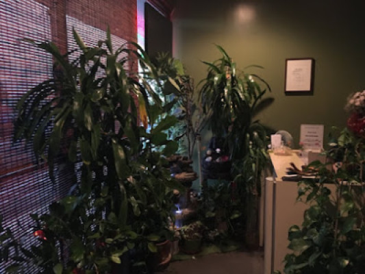 Jivaka Healing Center listing photo