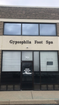 Gypsophila Asia Spa listing photo