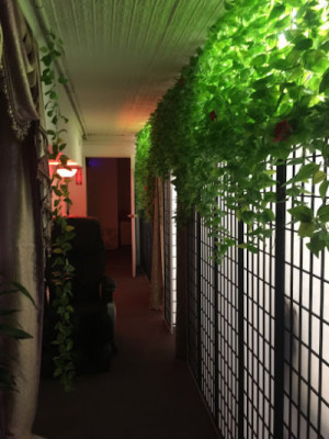 Muse Natural Spa listing photo