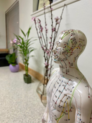 Lake Hills Acupuncture listing photo