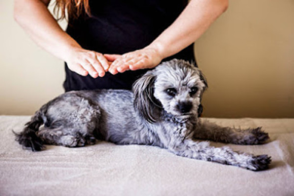 Reiki Energy listing photo