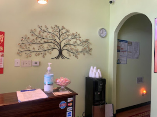 Willow Massage listing photo