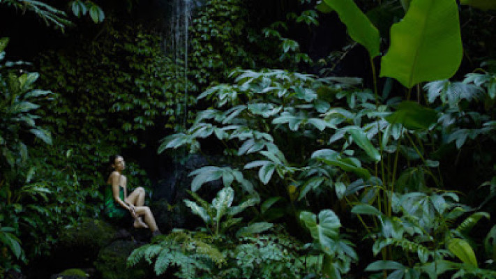 Amenities Day Spa & Salon listing photo