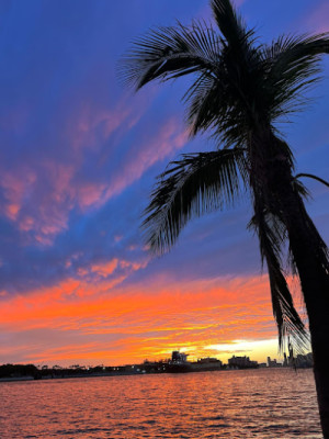 Miami Massage Therapy listing photo
