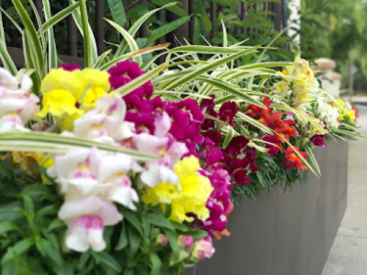 Healing Garden Spa listing photo
